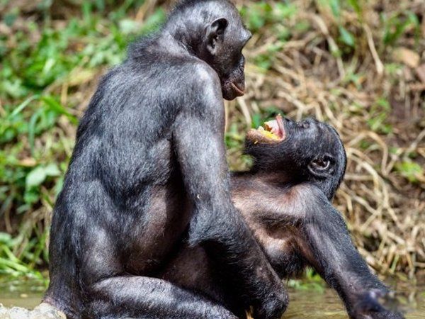 ���ﷱֳ�ķ�ʽ���ļ��� ʮ�ֶ���ķ�ֳ��ʽ�㻹֪����Щ