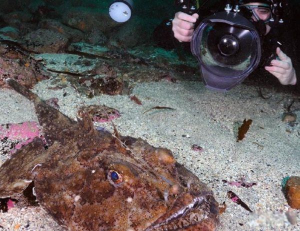 ���ﷱֳ�ķ�ʽ���ļ��� ʮ�ֶ���ķ�ֳ��ʽ�㻹֪����Щ