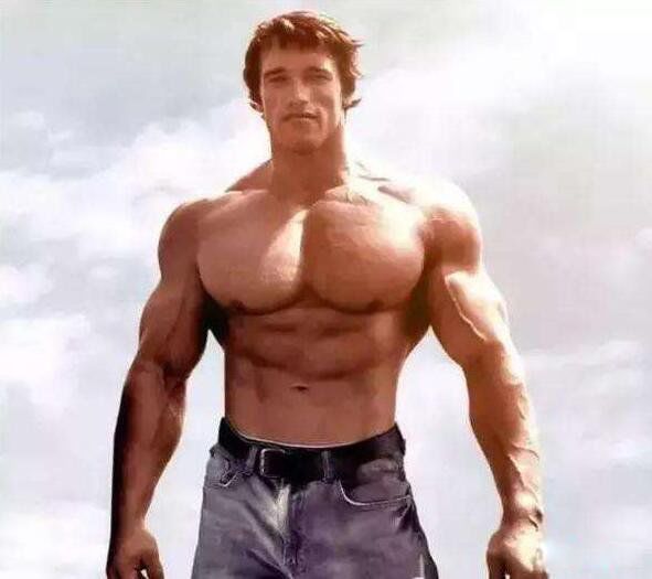 ������ֲ����� ��������ֲ��ļ�����ǰʮ��