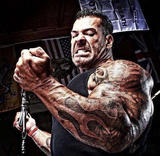 ������ֲ����� ��������ֲ��ļ�����ǰʮ��