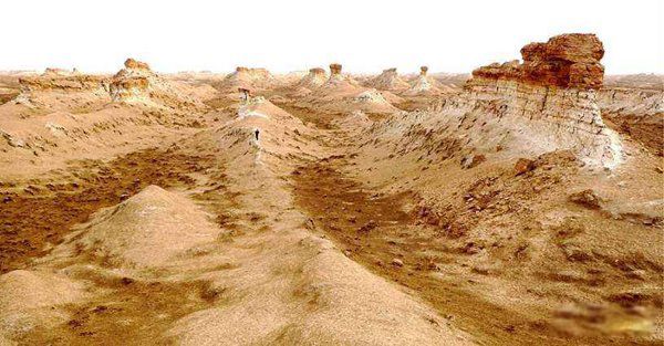 �޲������������������ �ֲ�������Ƭ���½�����Ĺ����¼�