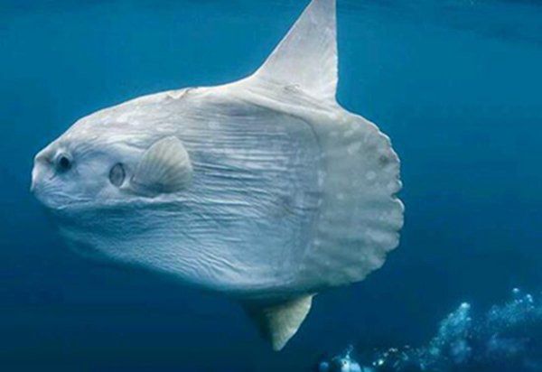 ��������ʲô���ӵ�ͼƬ ��Ϊʲôû�˳Ժó���