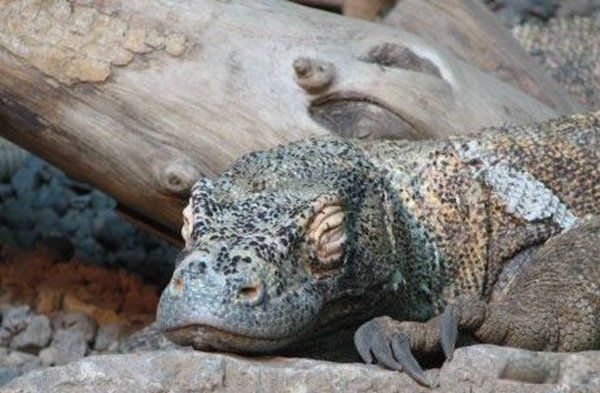 �޲������������������ �ֲ�������Ƭ���½�����Ĺ����¼�