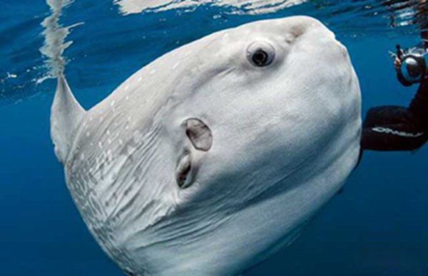 ��������ʲô���ӵ�ͼƬ ��Ϊʲôû�˳Ժó���