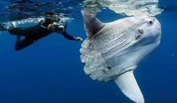 ��������ʲô���ӵ�ͼƬ ��Ϊʲôû�˳Ժó���