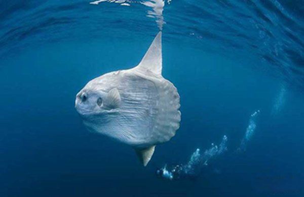 ��������ʲô���ӵ�ͼƬ ��Ϊʲôû�˳Ժó���