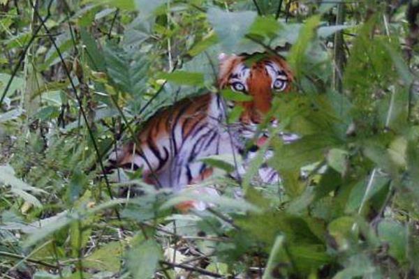 �������Ļ��ϻ��¼�������� ��ٻ��ϻ��¼�����