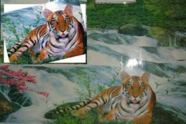 �������Ļ��ϻ��¼�������� ��ٻ��ϻ��¼�����