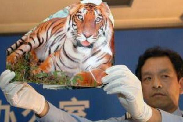 �������Ļ��ϻ��¼�������� ��ٻ��ϻ��¼�����