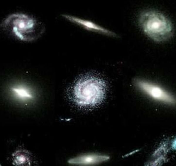 ʮ������ϵ����������Щ ��������12����ϵ����