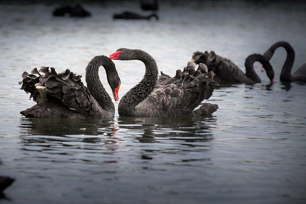 ������¼�����Щ���� ��ʱ���ܷ���ɶ��˼