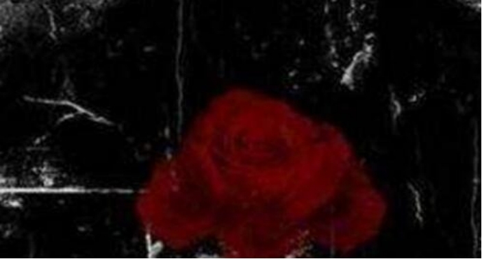 ������ɫ������ԭ��ֲ��� Ϊʲô˵��ɫ�������ǽ���