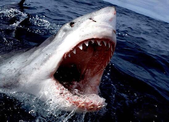 �������賤ʲô�����ж�� ���������������