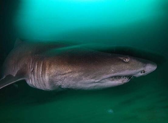 �������賤ʲô�����ж�� ���������������