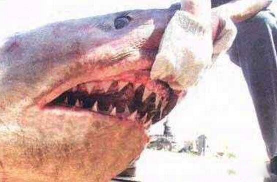 �������賤ʲô�����ж�� ���������������