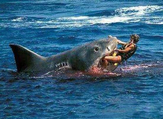 �������賤ʲô�����ж�� ���������������