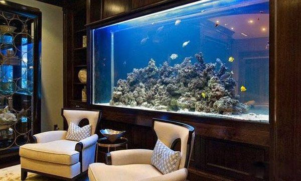 ��լ��а�Ķ�������Щ ��լ��а�������İڼ�����ǰʮ