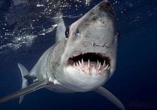 �������賤ʲô�����ж�� ���������������