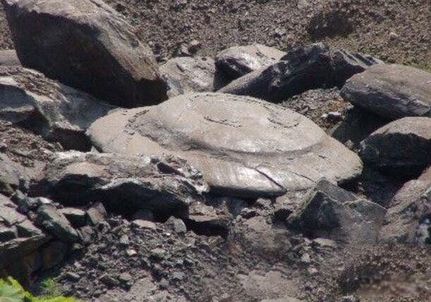 �й�ufo�����������չ��¼� ���չ��¼����½�չ�������