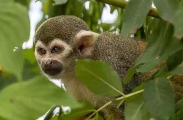 �����������ĺ��ӳ�ʲô�� �������ں��ͼƬ����