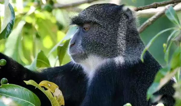 �����������ĺ��ӳ�ʲô�� �������ں��ͼƬ����