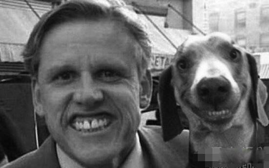 smile dog΢Ц���ֲ�ԭͼ smiledogjpg΢Ц������Ƭԭͼûp֮ǰ