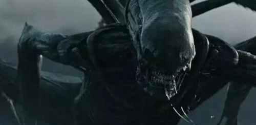 ��������ɶ��Ĵ����� �������屧������ʲô����