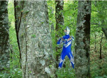 有人拍到奥特曼杀人了 被人拍到的真实奥特曼图片