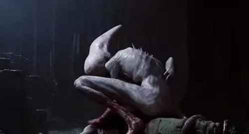 ��������ɶ��Ĵ����� �������屧������ʲô����