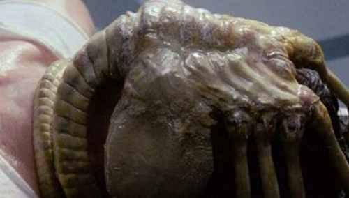 ��������ɶ��Ĵ����� �������屧������ʲô����