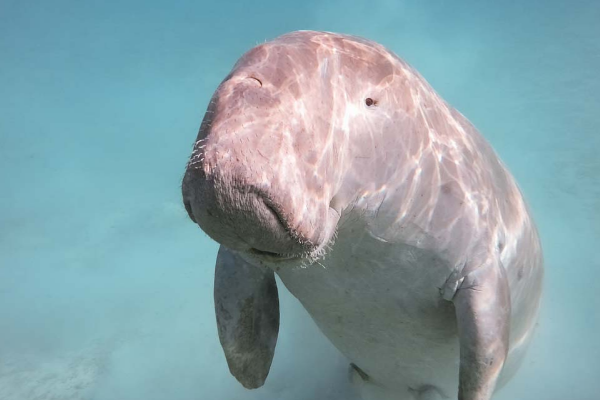 ������ѧ��������ʲô���� ��������֮�Ƶ�����