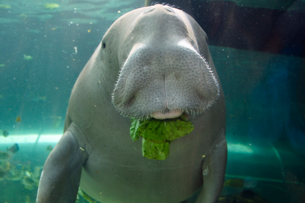 ������ѧ��������ʲô���� ��������֮�Ƶ�����