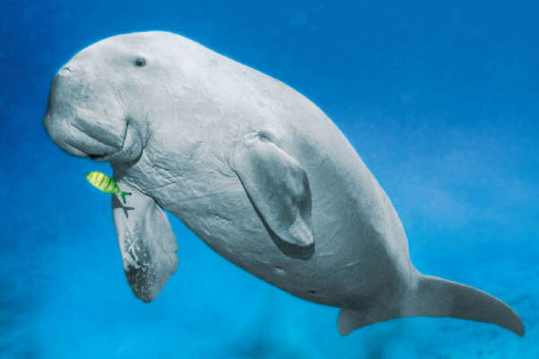 ������ѧ��������ʲô���� ��������֮�Ƶ�����