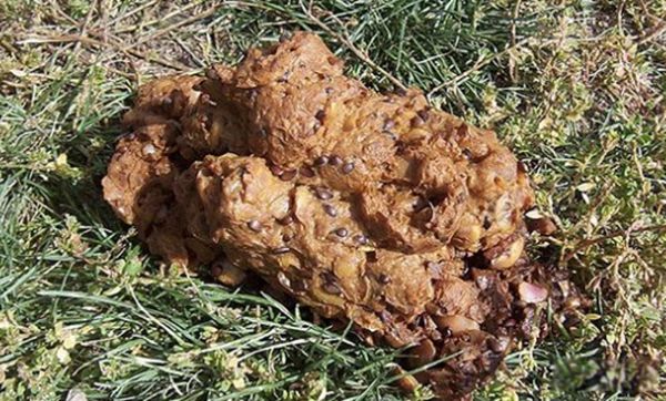 �ֲ���վ����Щ ����ǰʮ����ֲ�����վ