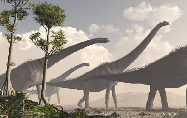 ���������ж���� ����������ʲô��ͼƬ