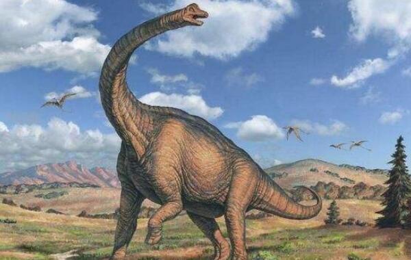 ���������ж���� ����������ʲô��ͼƬ