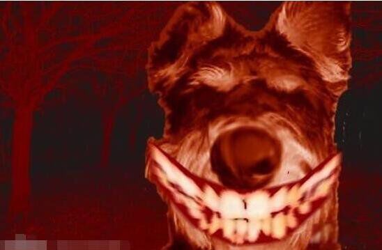 ΢Ц��ͼƬԭͼ�ֲ� Smile Dog΢Ц���ֲ�ԭͼ�¼�