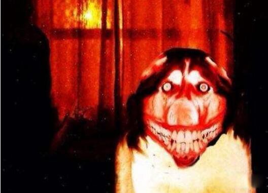 ΢Ц��ͼƬԭͼ�ֲ� Smile Dog΢Ц���ֲ�ԭͼ�¼�