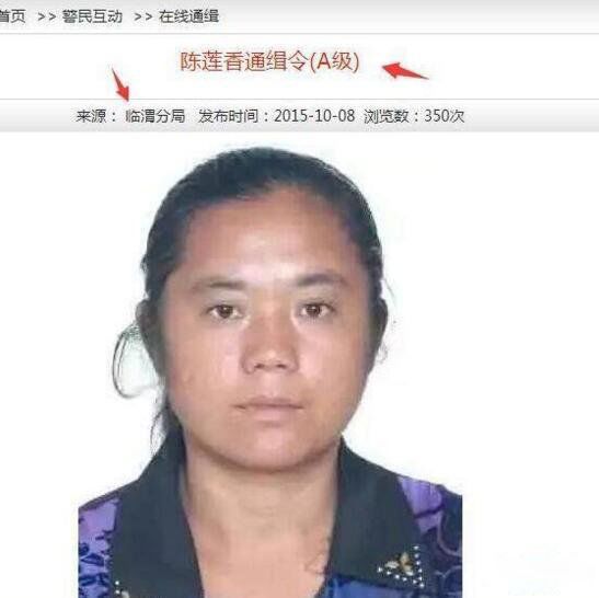 ������������ Ϊʲô�е���ô�᲻������