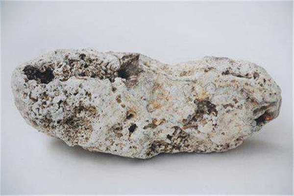 Ĩ�㾨�ķ����ʲô���� ��������ʲô��������