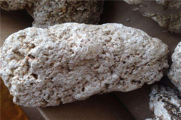 Ĩ�㾨�ķ����ʲô���� ��������ʲô��������