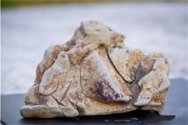 Ĩ�㾨�ķ����ʲô���� ��������ʲô��������