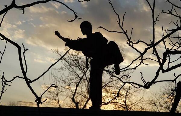 ��Ҫ���书��ô�� ѧ����ķ���һ��һ��