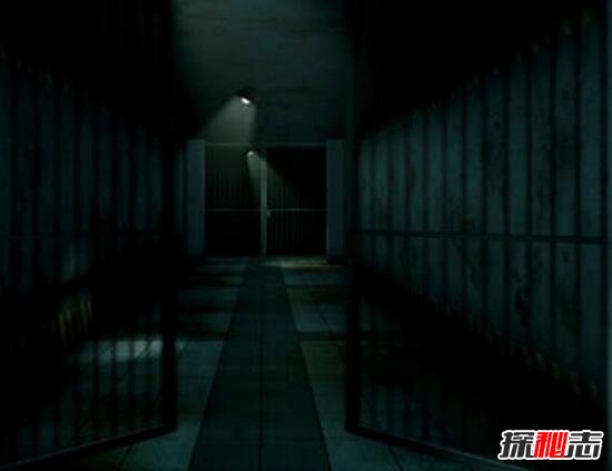 У԰�����¼���ʵ������ȫ У԰ʮ��ֲ�����