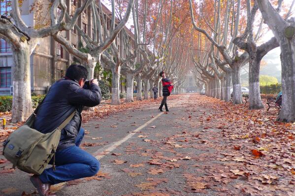 У԰�����¼���ʵ������ȫ У԰ʮ��ֲ�����