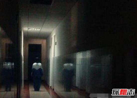 У԰�����¼���ʵ������ȫ У԰ʮ��ֲ�����