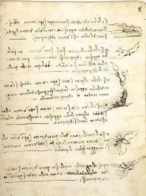 ������ɯ�����ߴ�����ǲ��������� ������ɯ�е�������