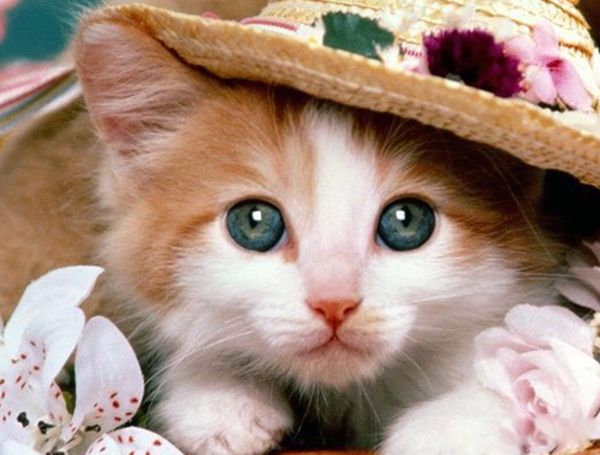 �¹�˯����զ�� ���Ϻ���˯�����ܸо��й�