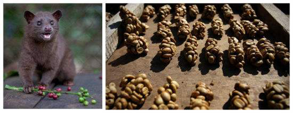 èʺ����ԭ�������ĸ����� èʺ���ȱ���Ĳ�������