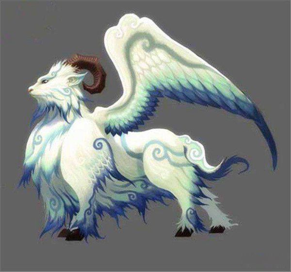 �Ϲ����ް���ʲô���� ��ʵ�İ�������ͼƬ